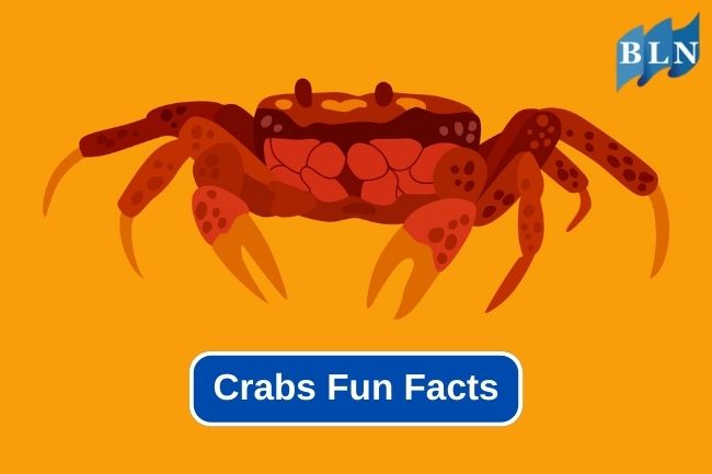 7 Impressive Facts about Crabs